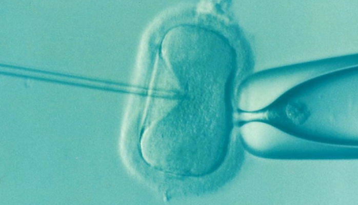 L’interdiction française d’exporter des gamètes ou embryons post-mortem est conforme à la CEDH